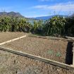 Ground preparation for shed arrival