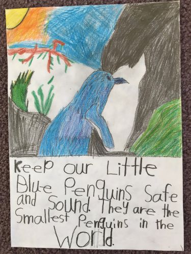 Local school children have been busy painting penguin art.
